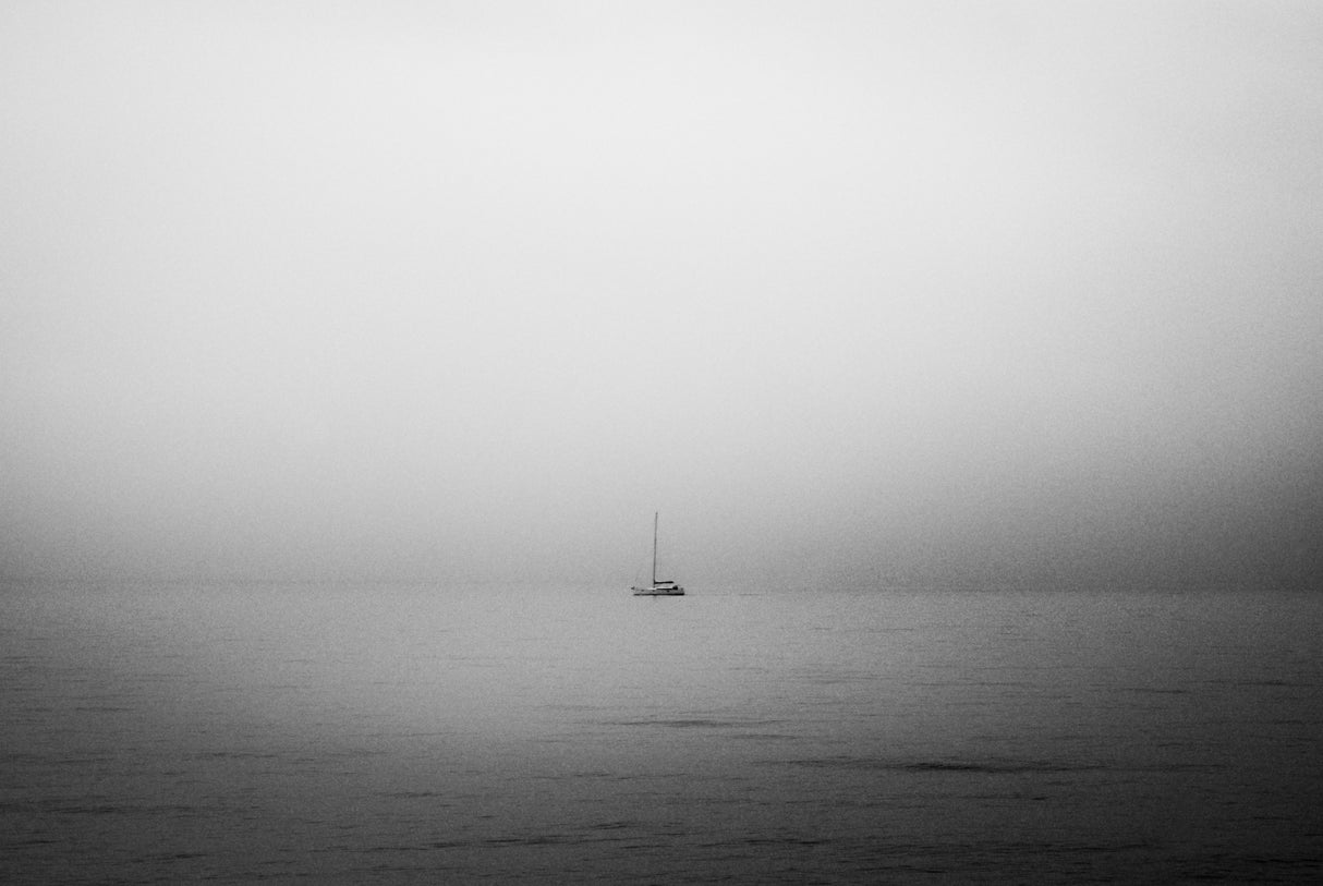 Sail Poster och Canvastavla