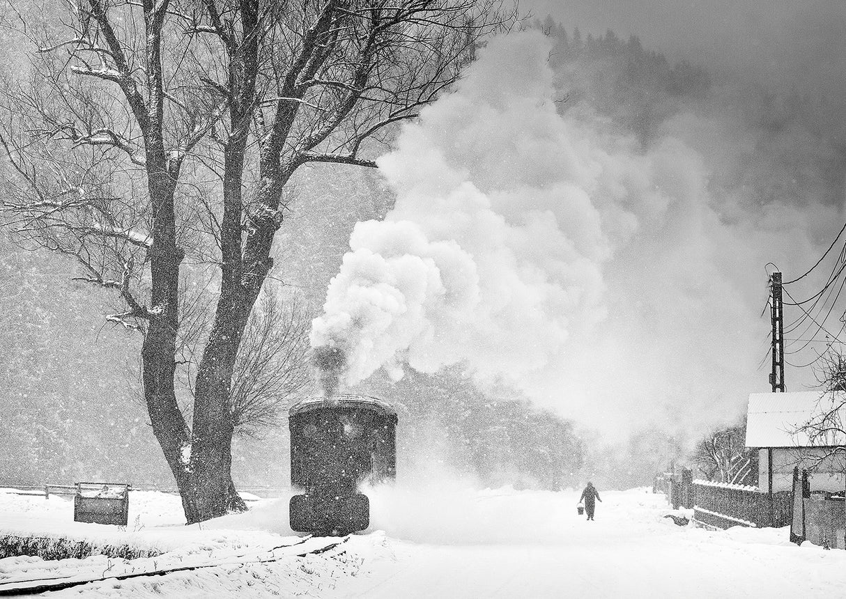 A Winter's Tale Poster och Canvastavla