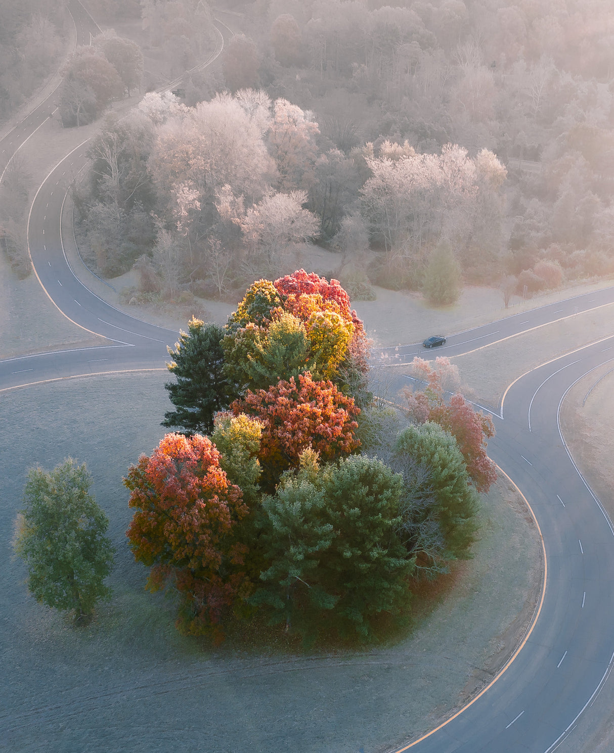 Frosty Autumn Morning Poster och Canvastavla
