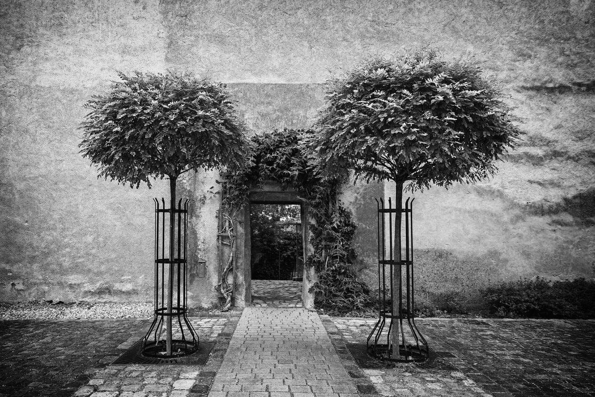 rose garden entrance Poster och Canvastavla