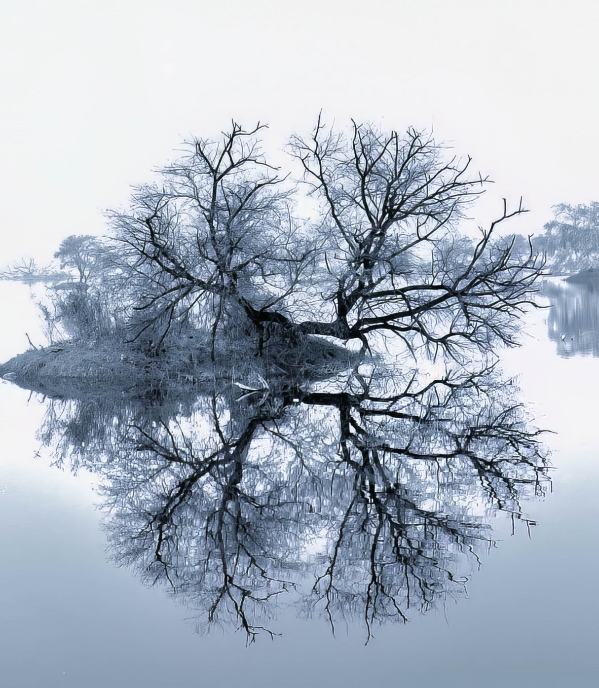 The beauty of natural world ! Poster och Canvastavla