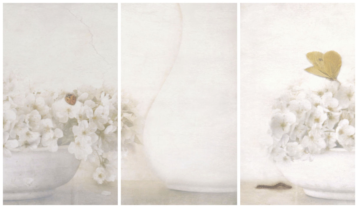 Summertime (triptych) Poster och Canvastavla