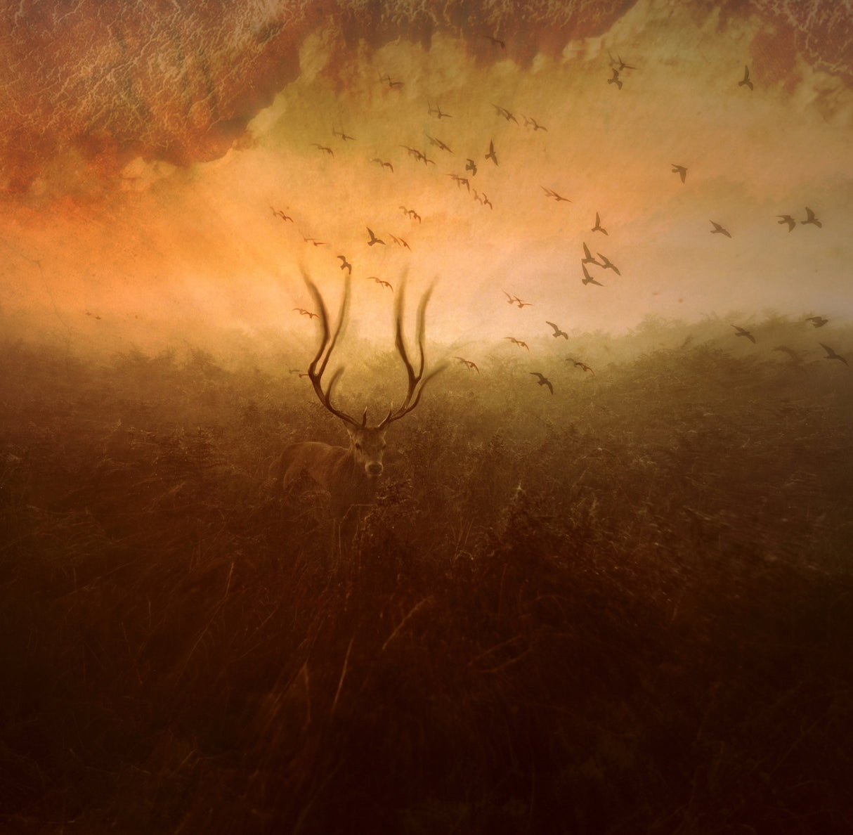 Mother Nature's Son Poster och Canvastavla