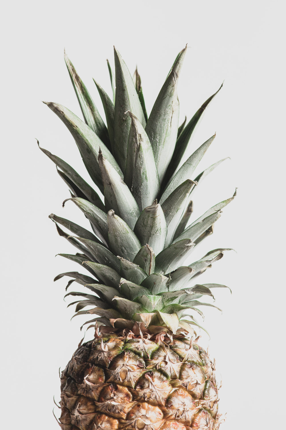Pineapple Natural Poster och Canvastavla