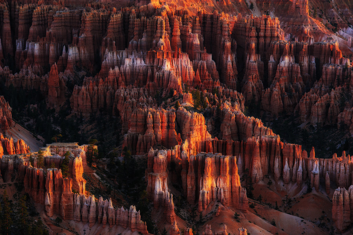 Morning Light on Hoodoos Poster och Canvastavla