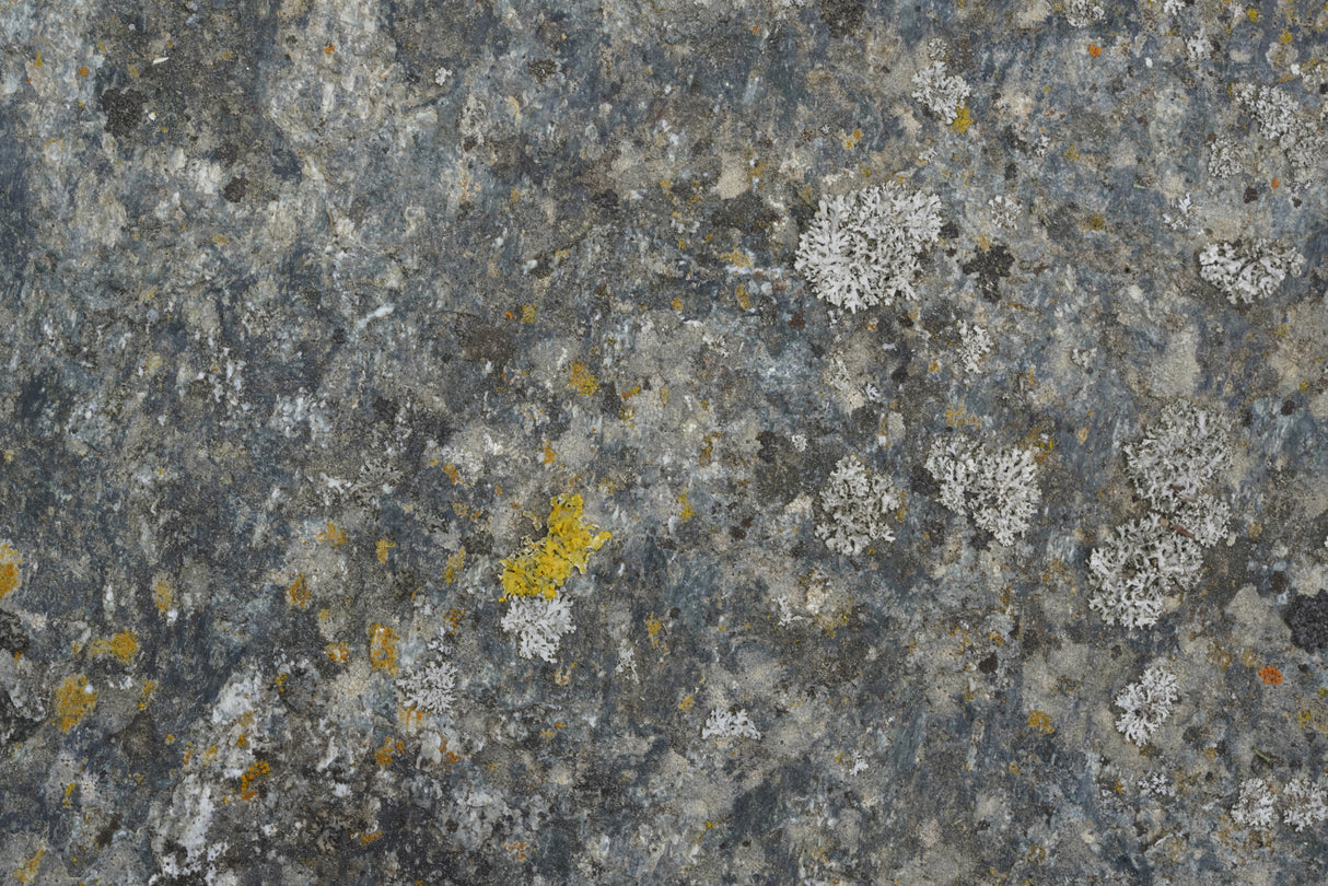 Tex Surface S5 Poster och Canvastavla