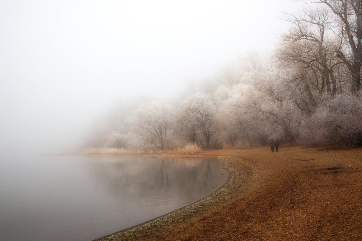 Fog and rime on the lake Poster och Canvastavla