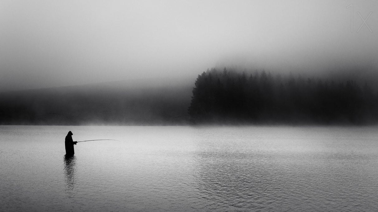 The Fog Catcher Poster och Canvastavla