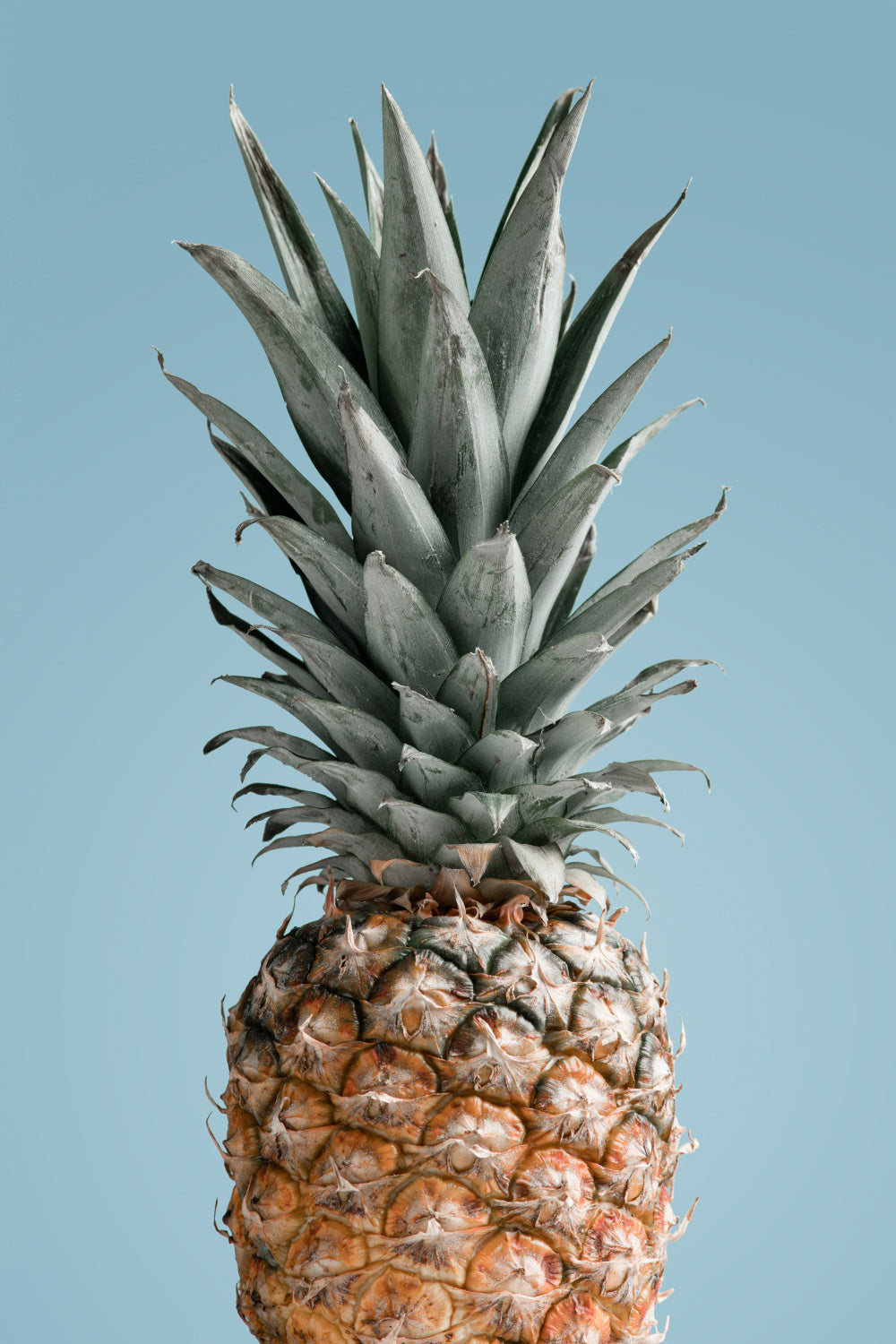 Pineapple Blue 02 Poster och Canvastavla