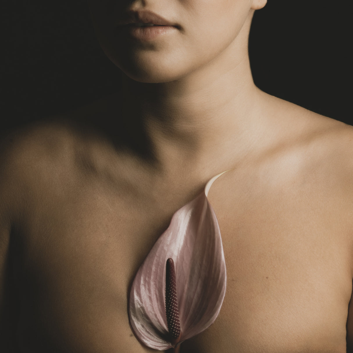 Poster och Canvastavla