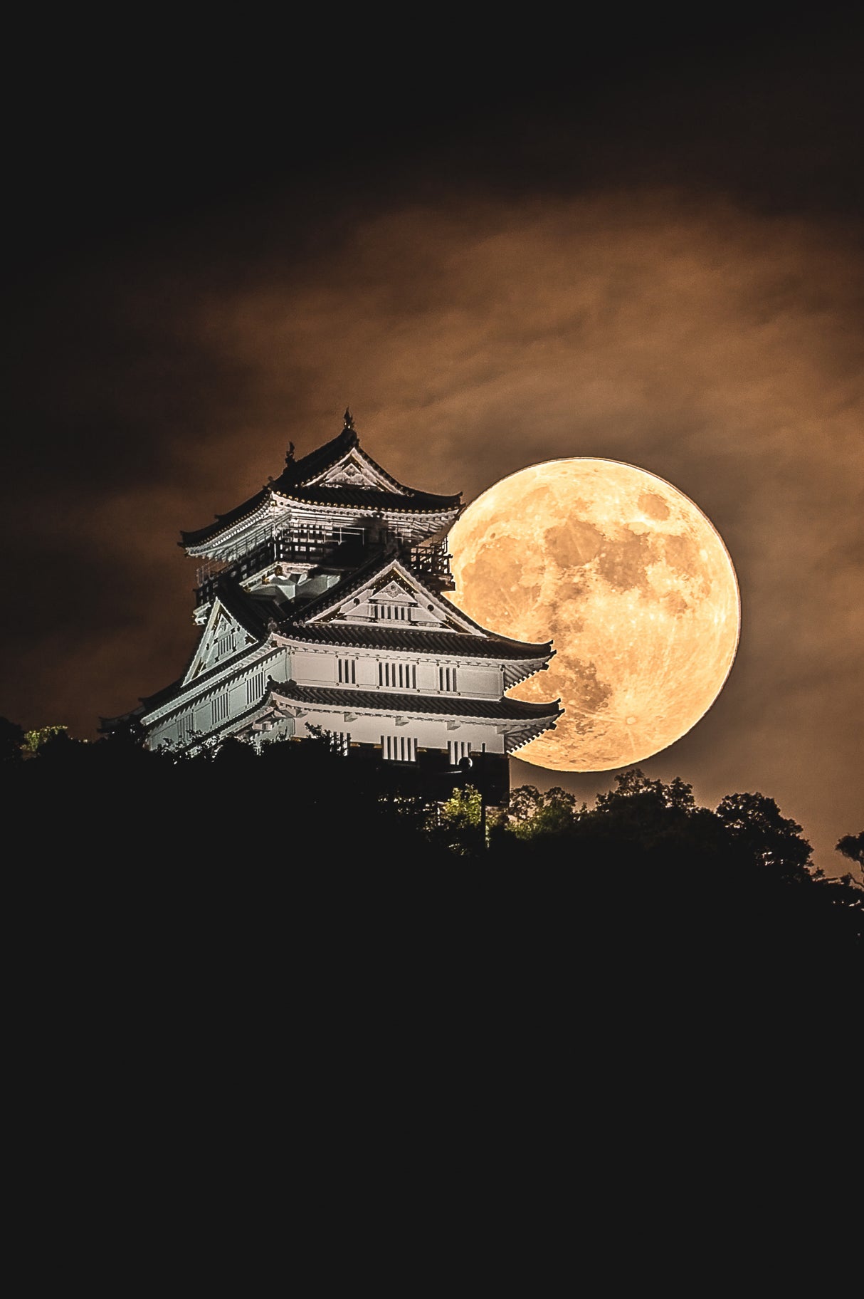 Moon castle Poster och Canvastavla
