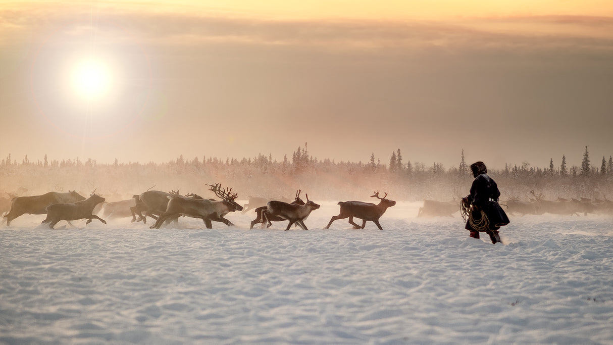 Reindeer hunter Poster och Canvastavla