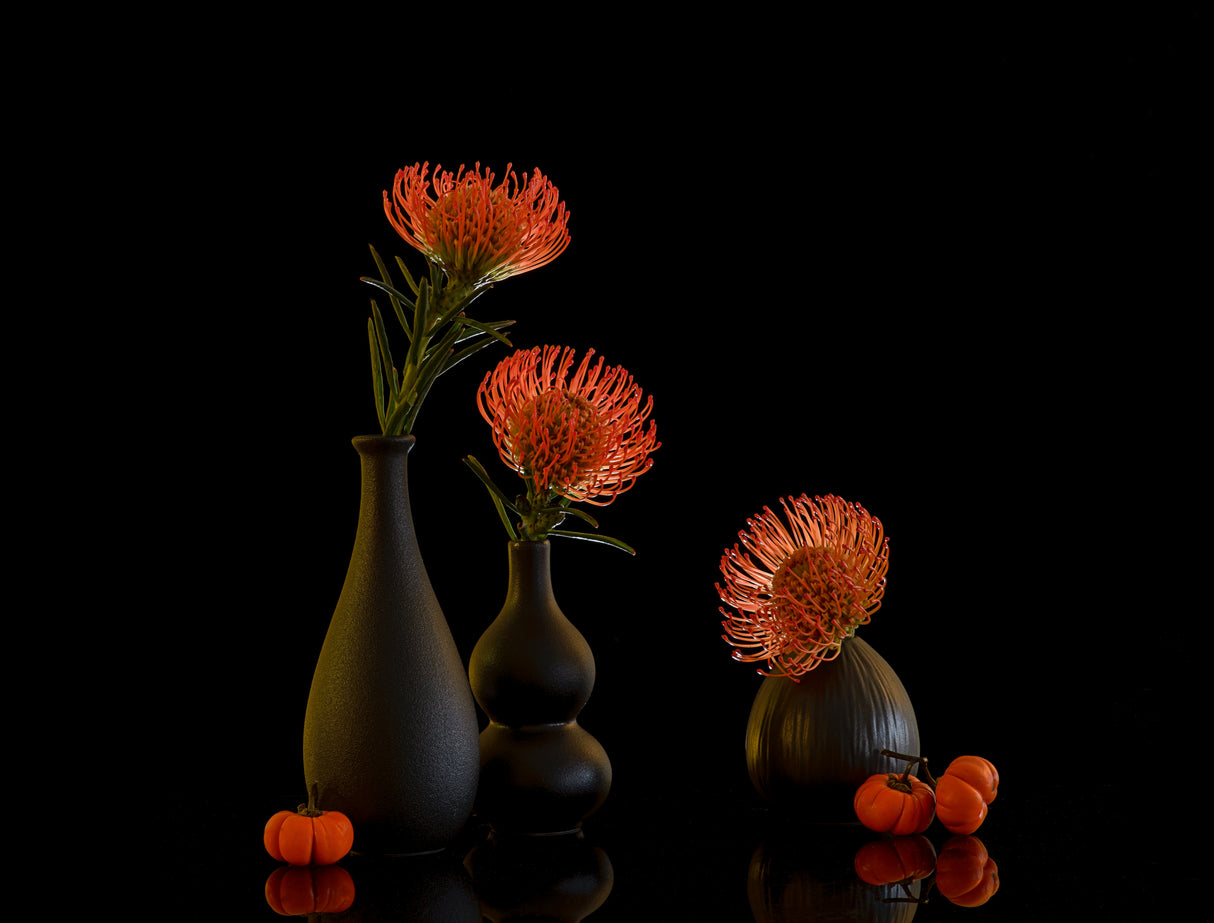 still life 105 Poster och Canvastavla