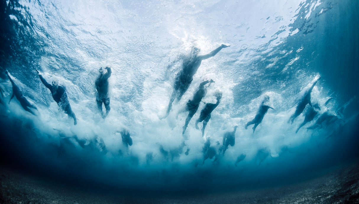 Swim Poster och Canvastavla