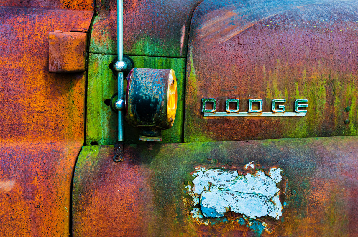 1948 Dodge Ram Truck Right, #69 Poster och Canvastavla