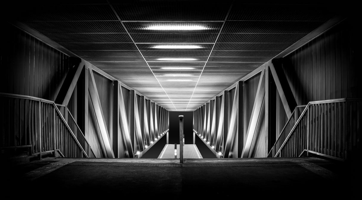 black & white Poster och Canvastavla