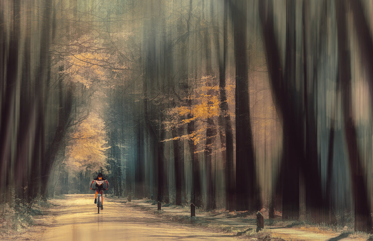 The lonely cyclist Poster och Canvastavla