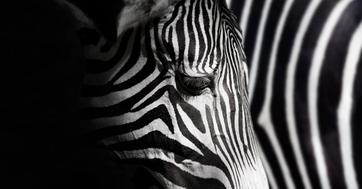 Overlap of stripes Poster och Canvastavla