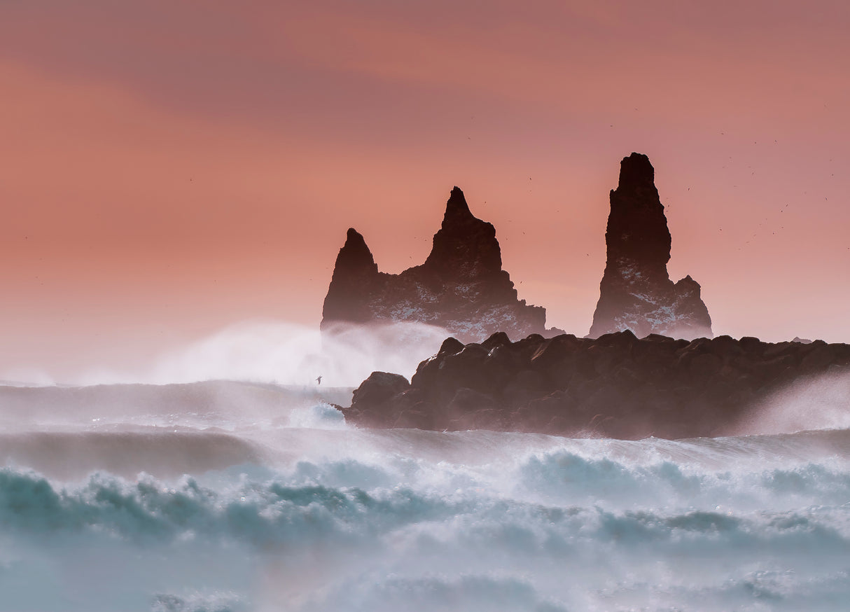 Roaring ocean Poster och Canvastavla