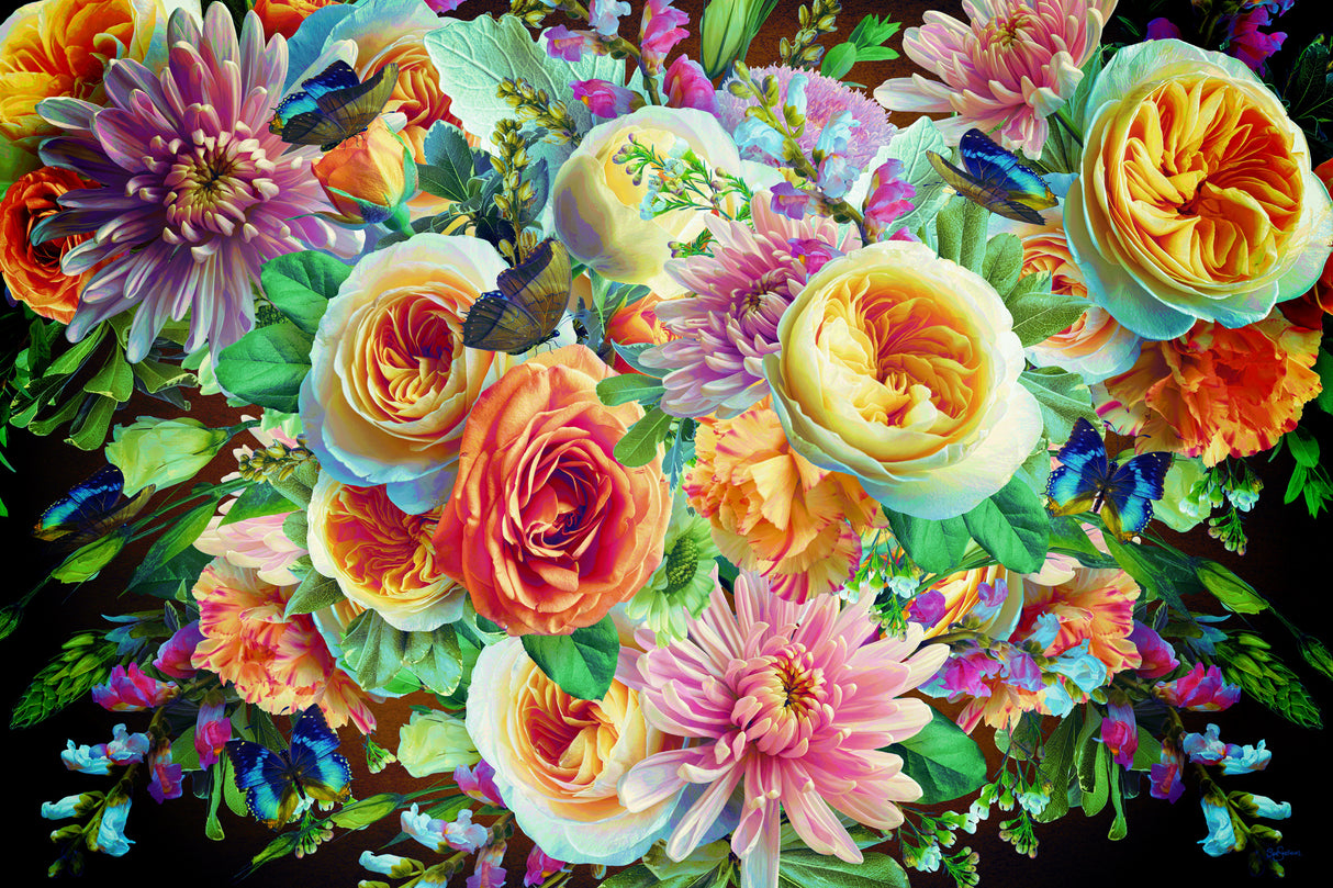 Morning Blooms Cancan Poster och Canvastavla
