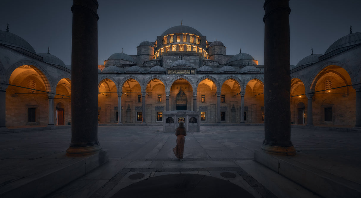 Naboo Royal Palace Poster och Canvastavla