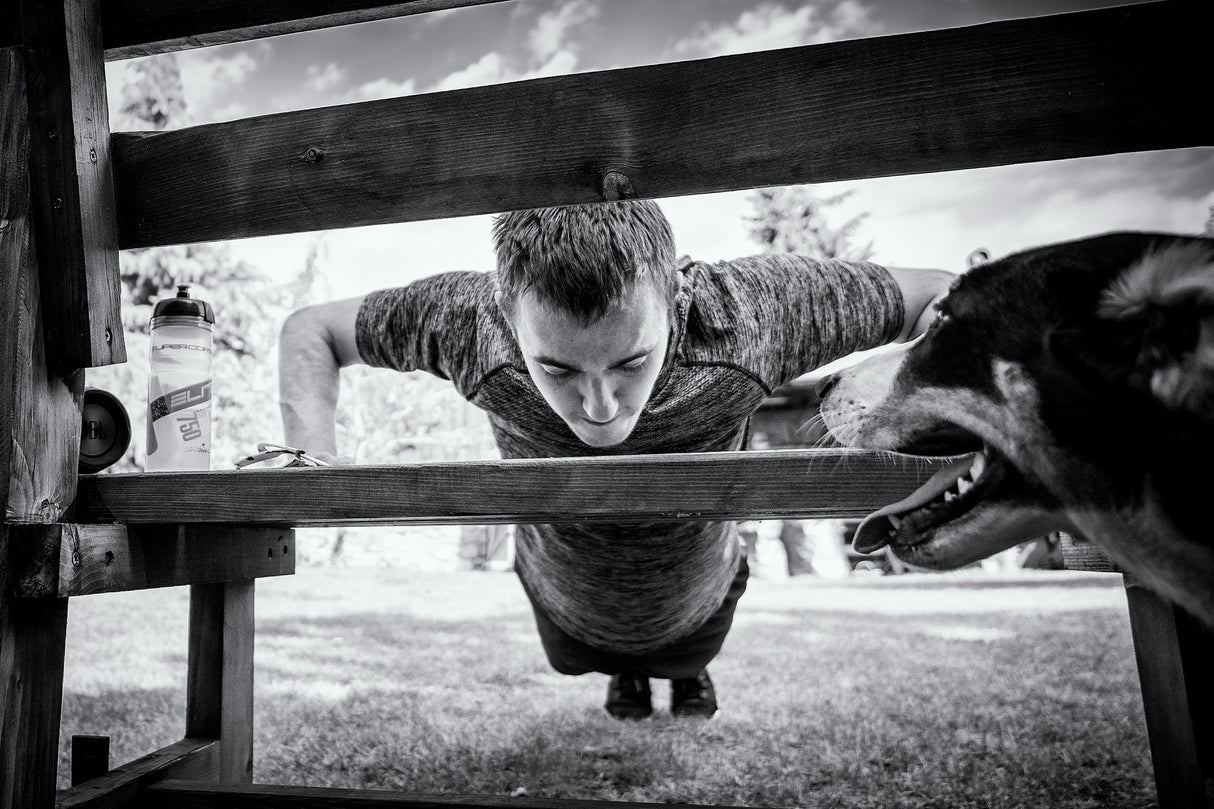 Stay at home, train at home (with your Dog) Poster och Canvastavla