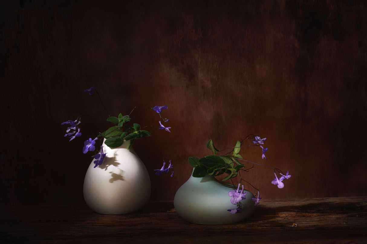 Springtime Poster och Canvastavla