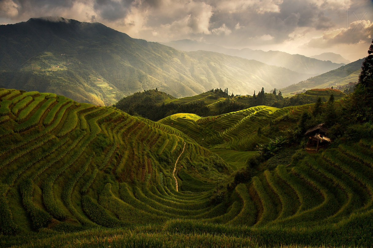 A Tuscan Feel in China Poster och Canvastavla