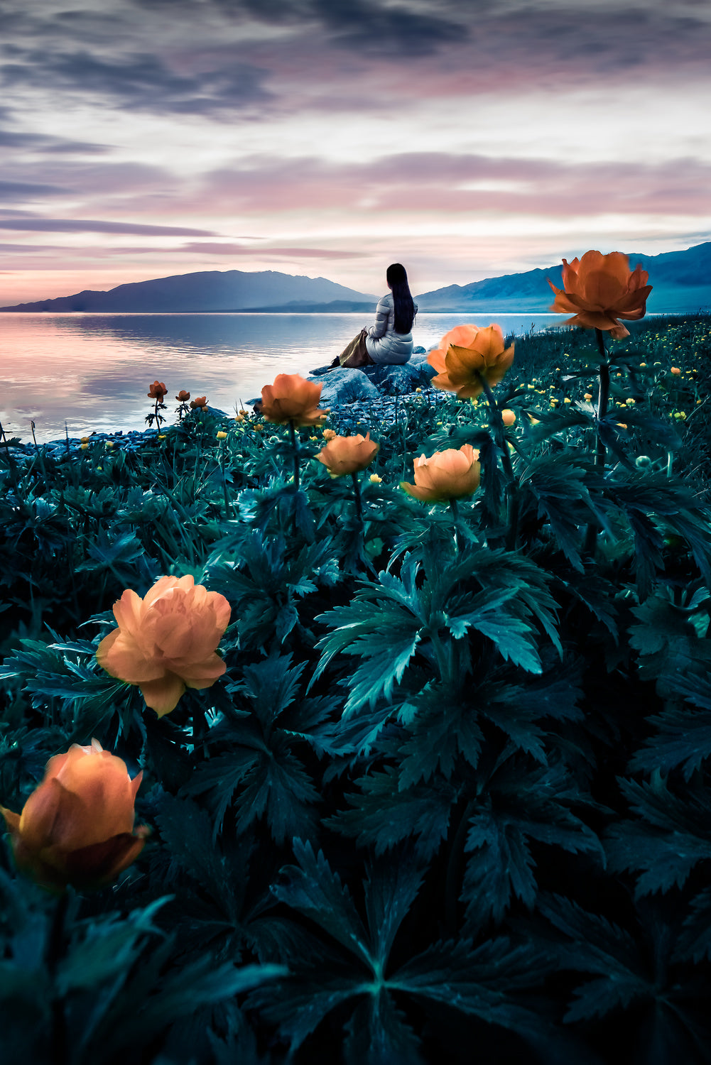 Sayram Lake《赛里木湖》 Poster och Canvastavla