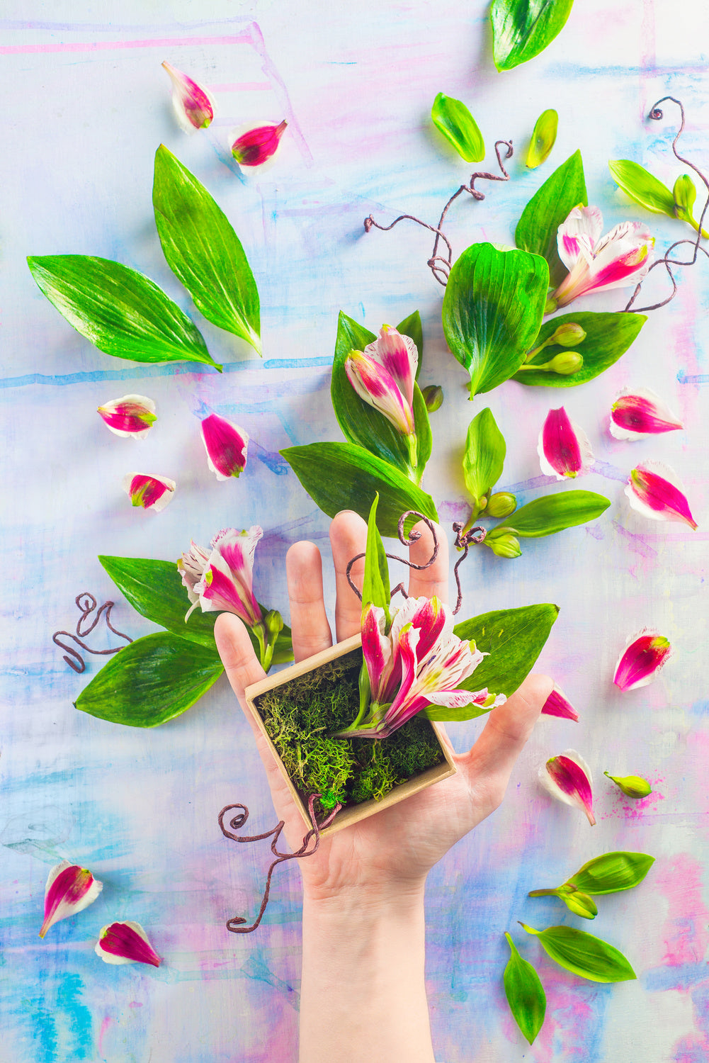 Hand full of spring Poster och Canvastavla