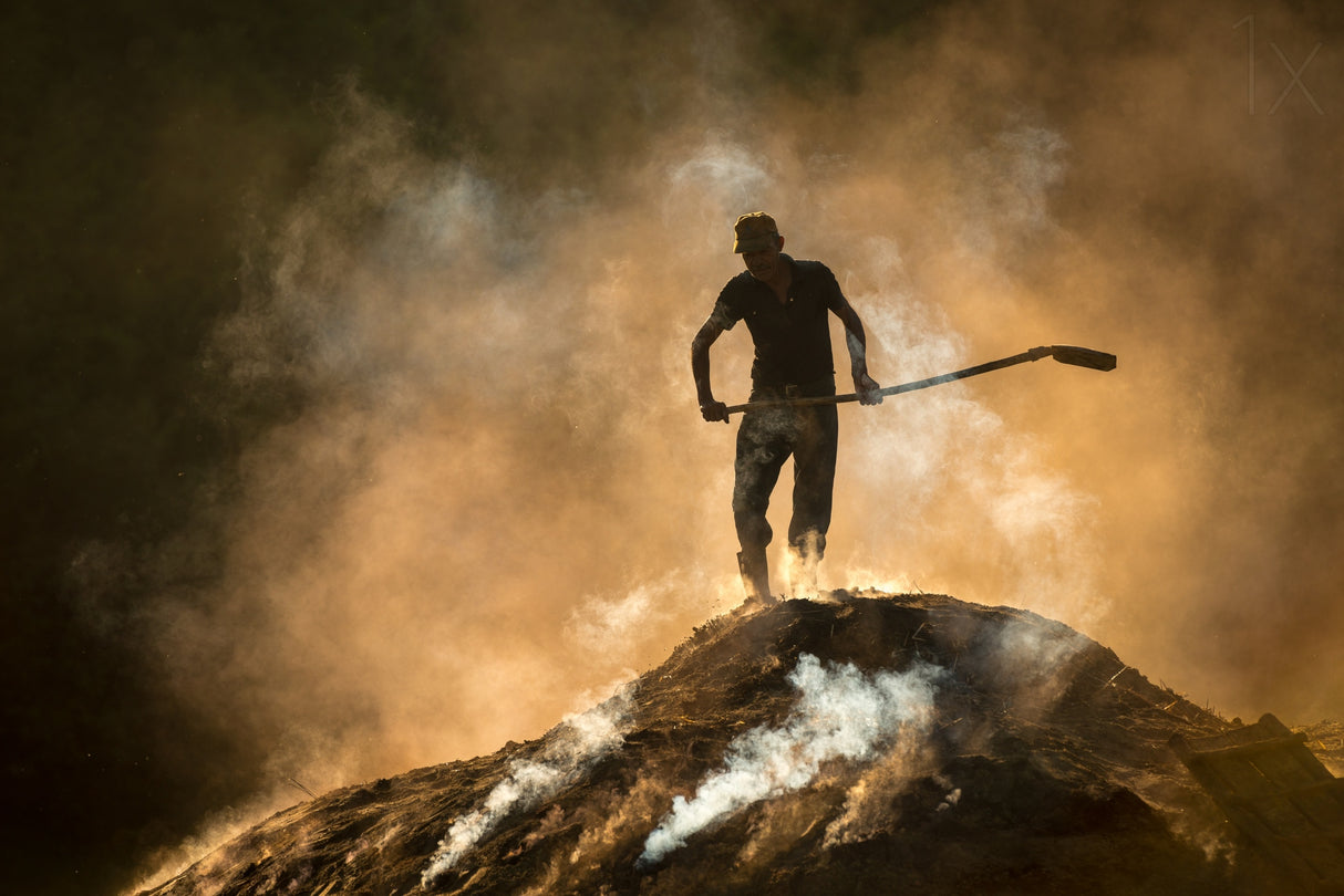 Taming the fire Poster och Canvastavla
