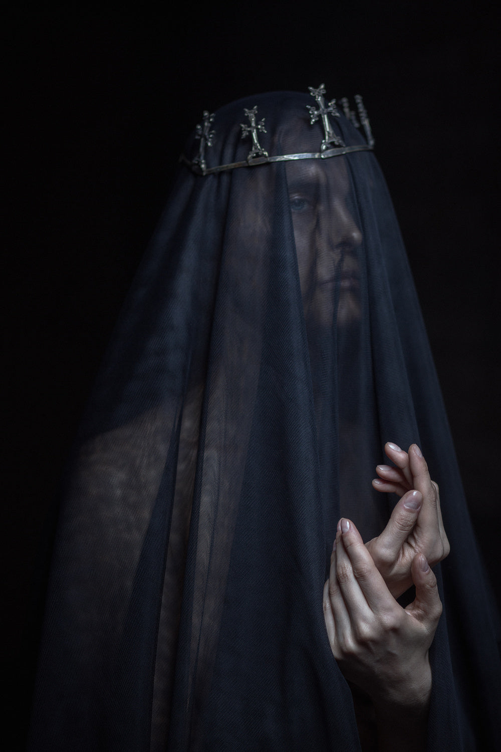 Shadow crown Poster och Canvastavla