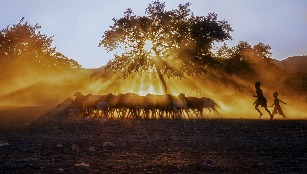 Shepherd Boy, Namibia Poster och Canvastavla