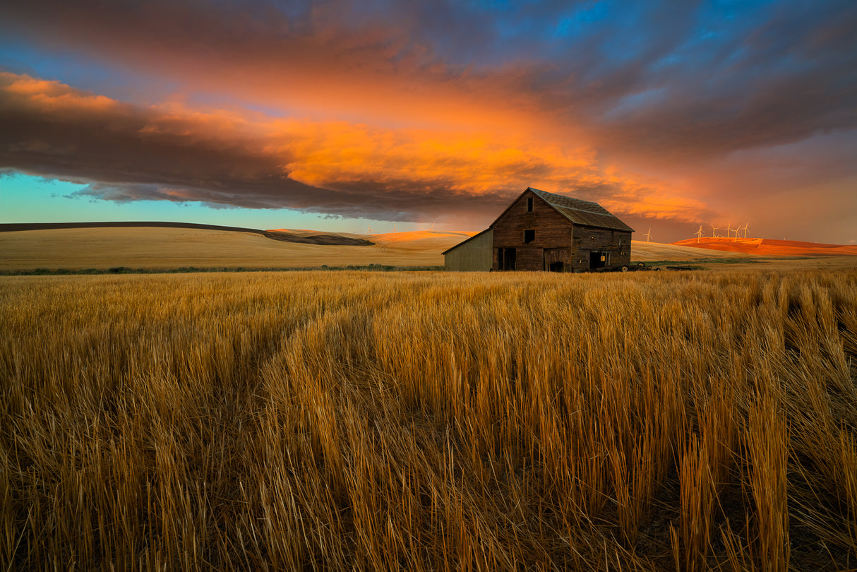Storm over Palouse Poster och Canvastavla