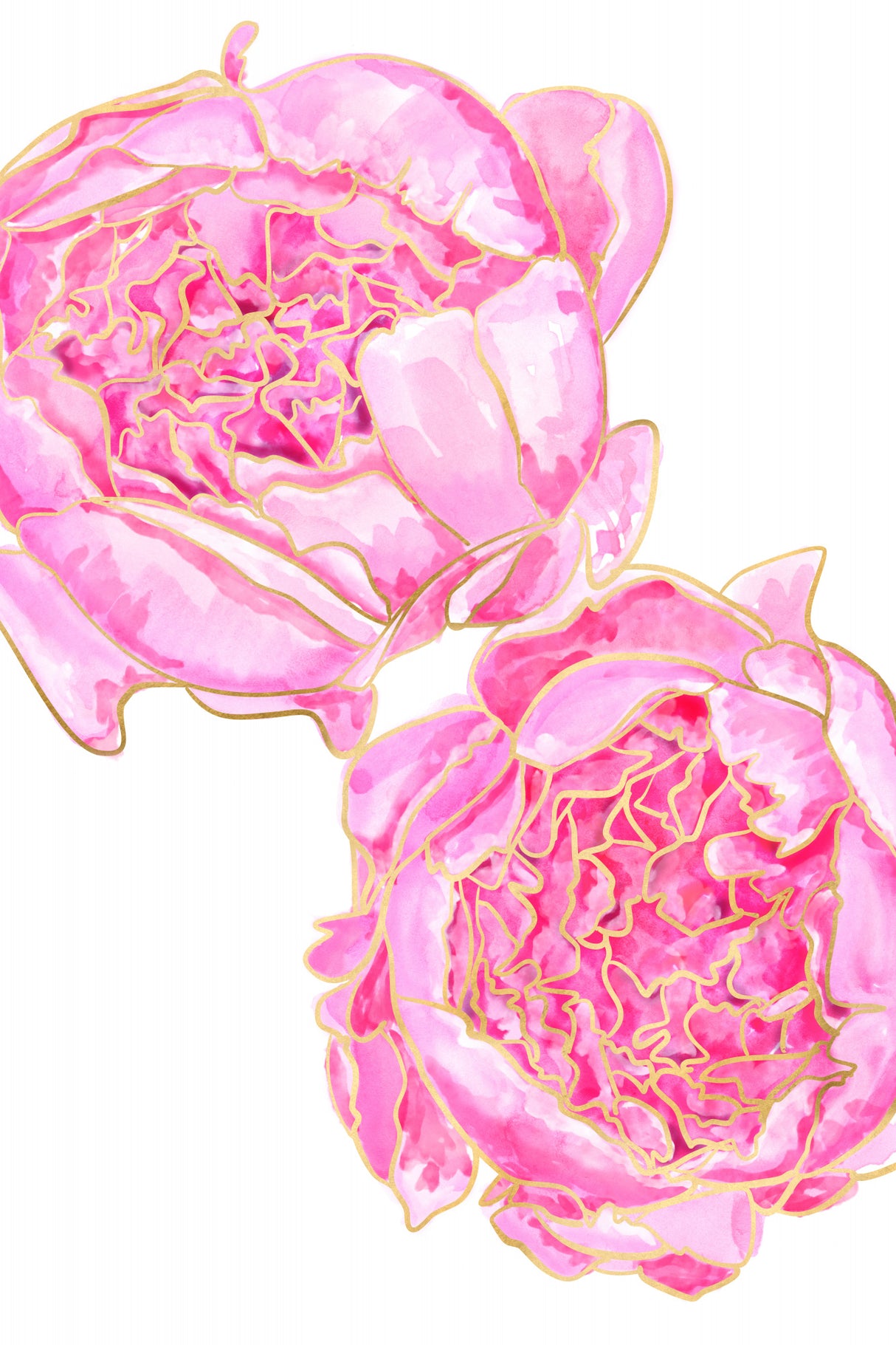 Sally's peonies Poster och Canvastavla