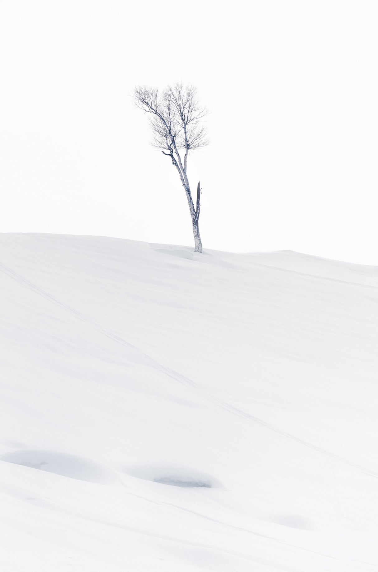 Lonely at Top Poster och Canvastavla