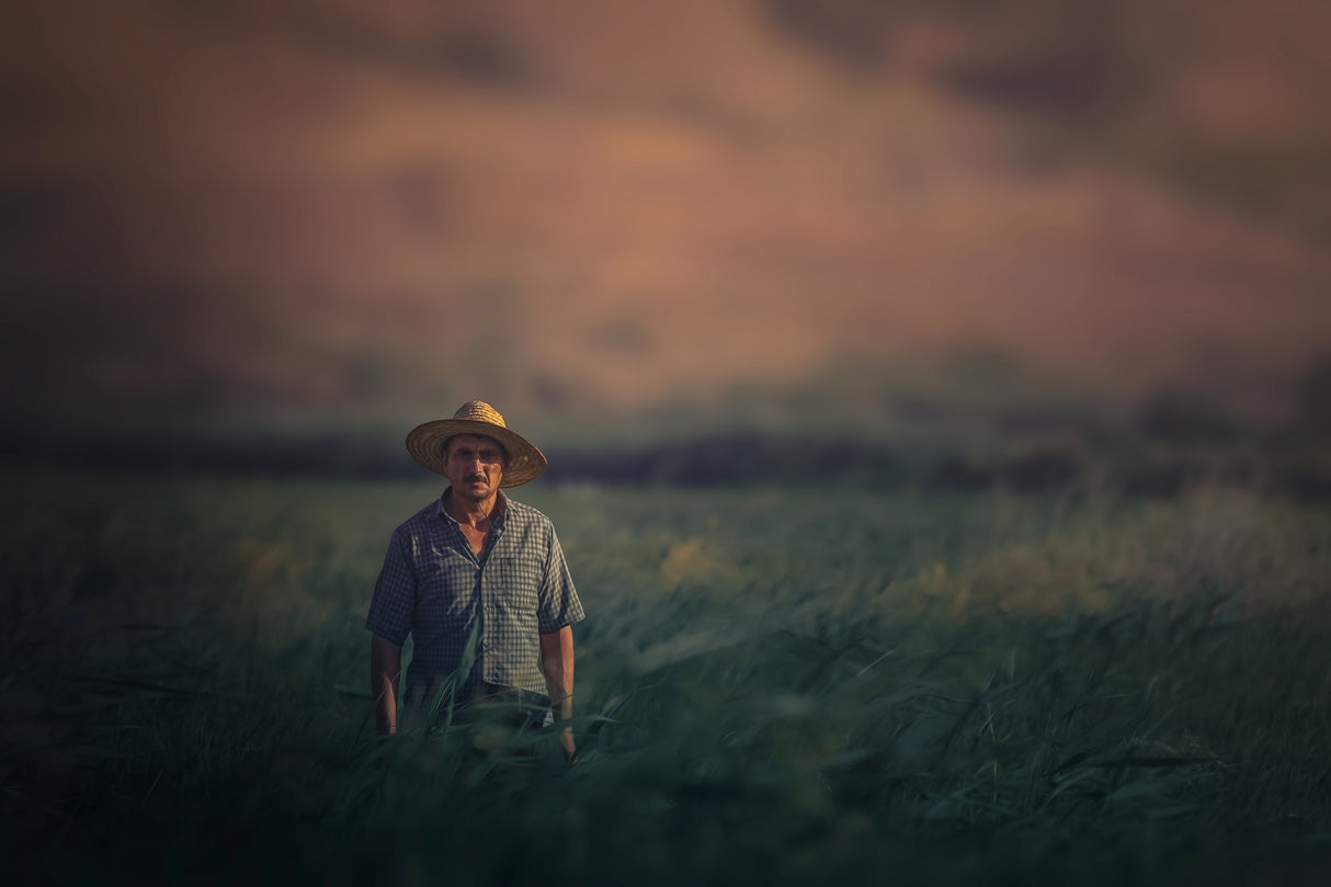 A Farmer Man... Poster och Canvastavla