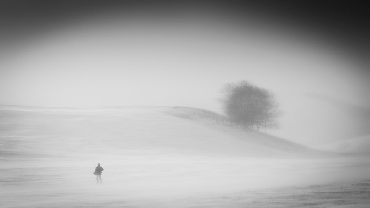 The wind Poster och Canvastavla