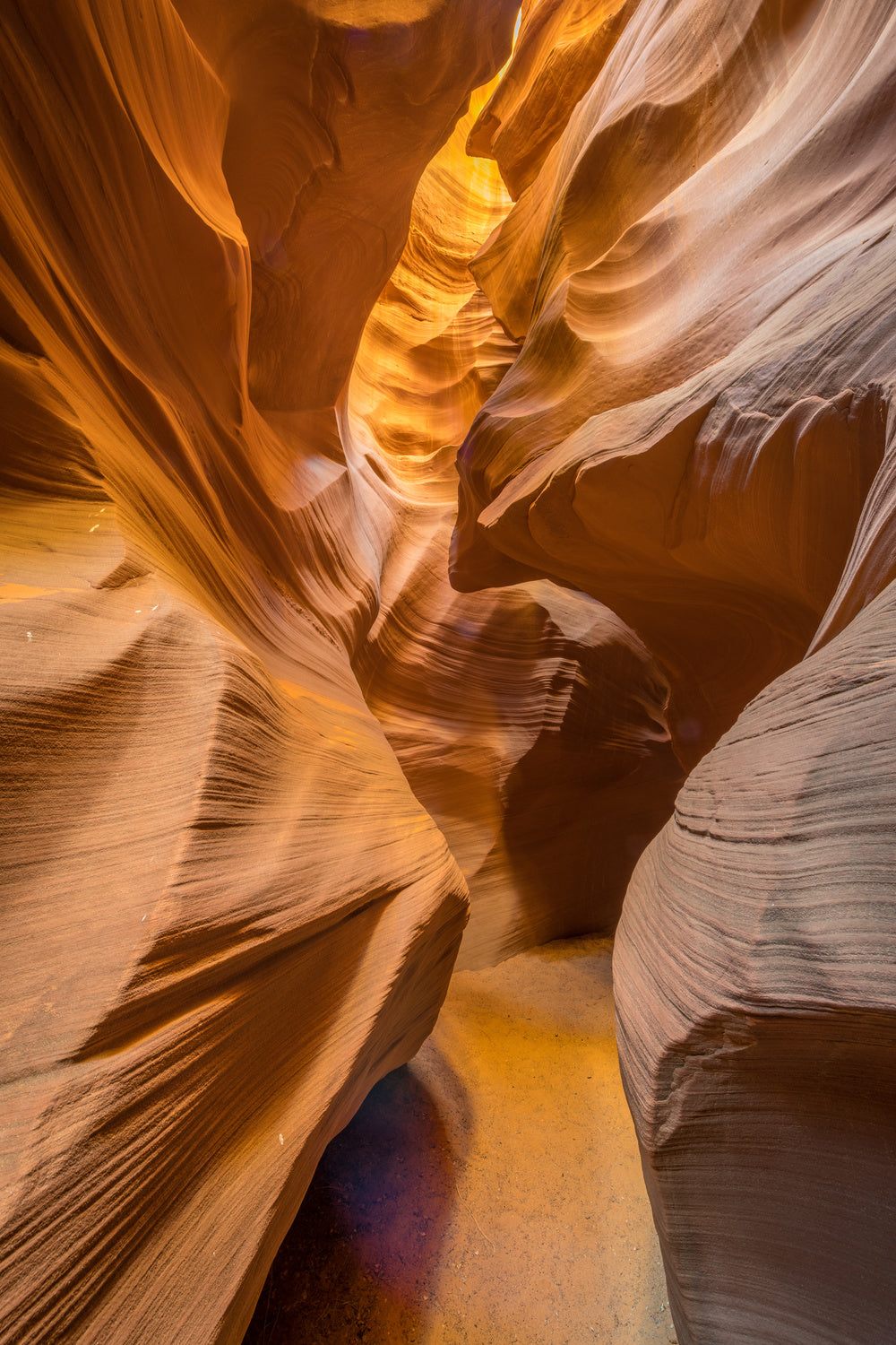 "the golden passage way" Poster och Canvastavla