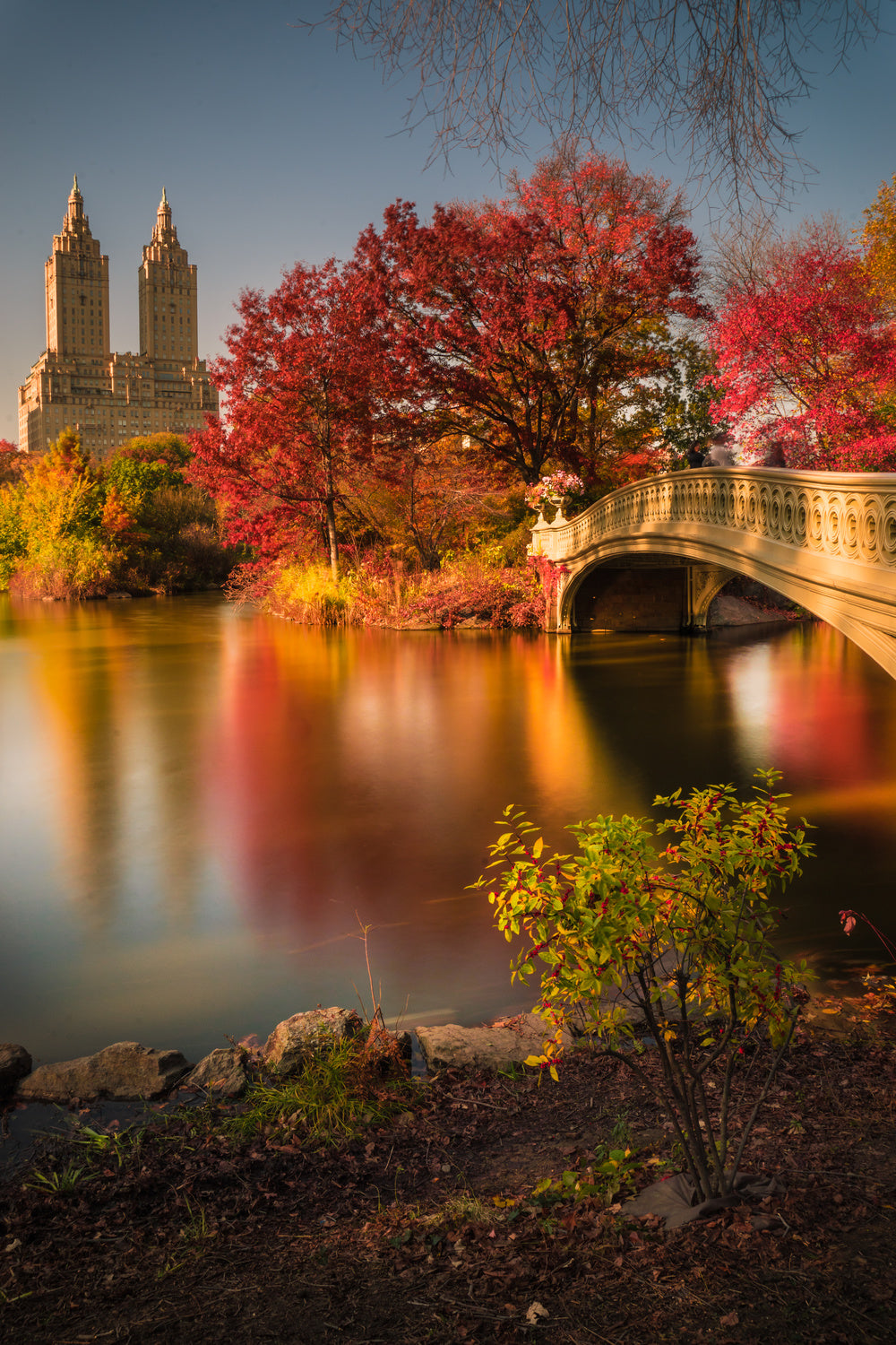 Fall in Central Park Poster och Canvastavla