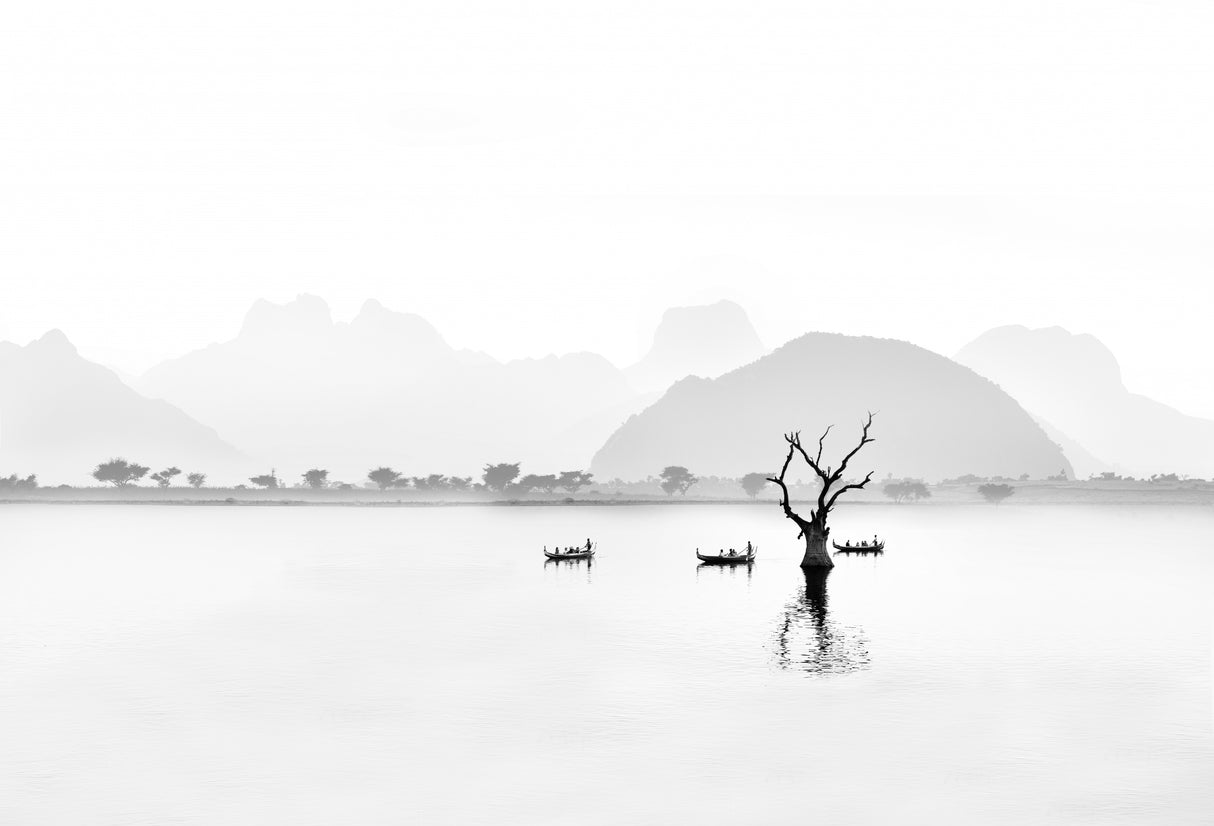 Boats in the lake Poster och Canvastavla