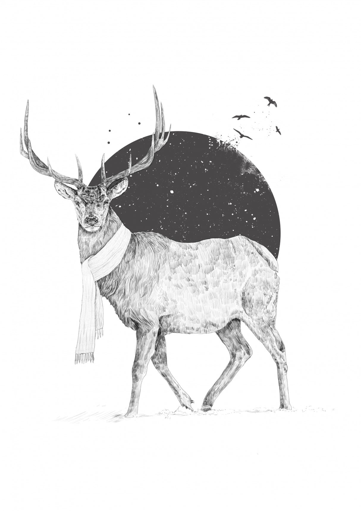 Winter is all around Poster och Canvastavla
