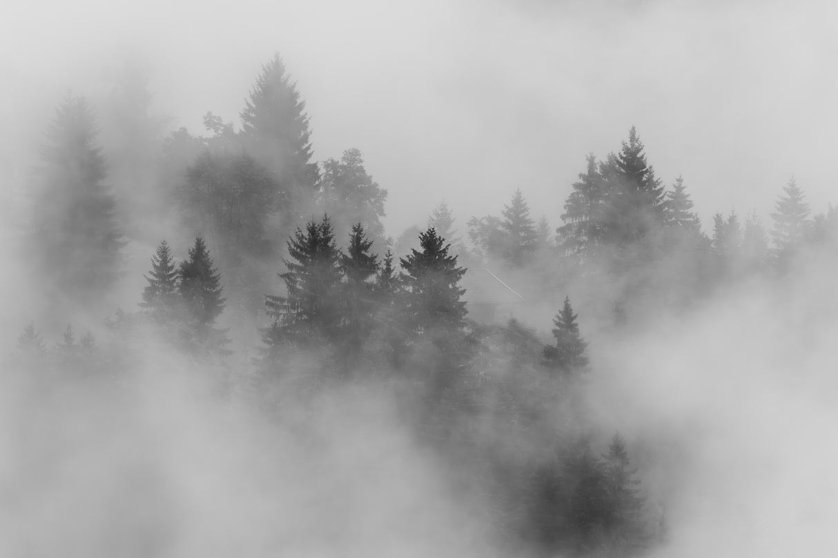 autumn Poster och Canvastavla