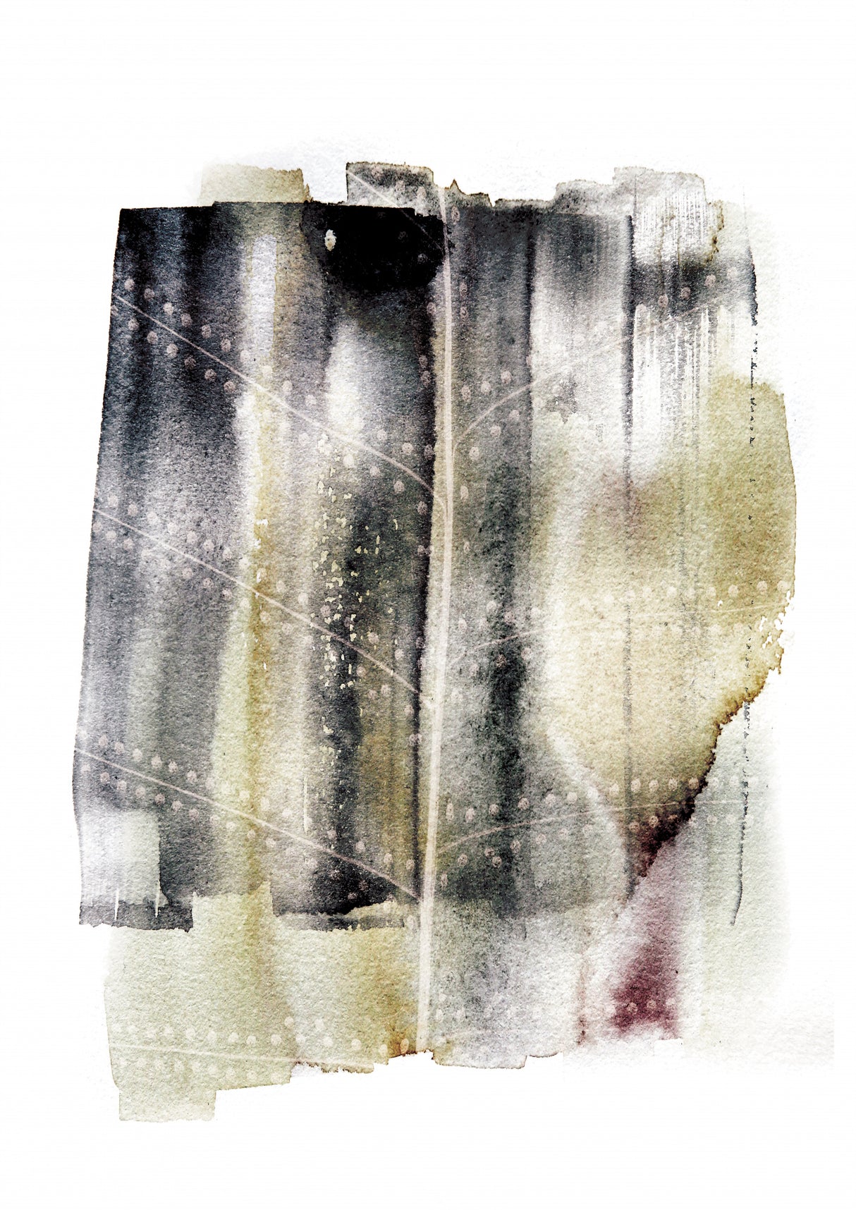Whisper Fern Poster och Canvastavla