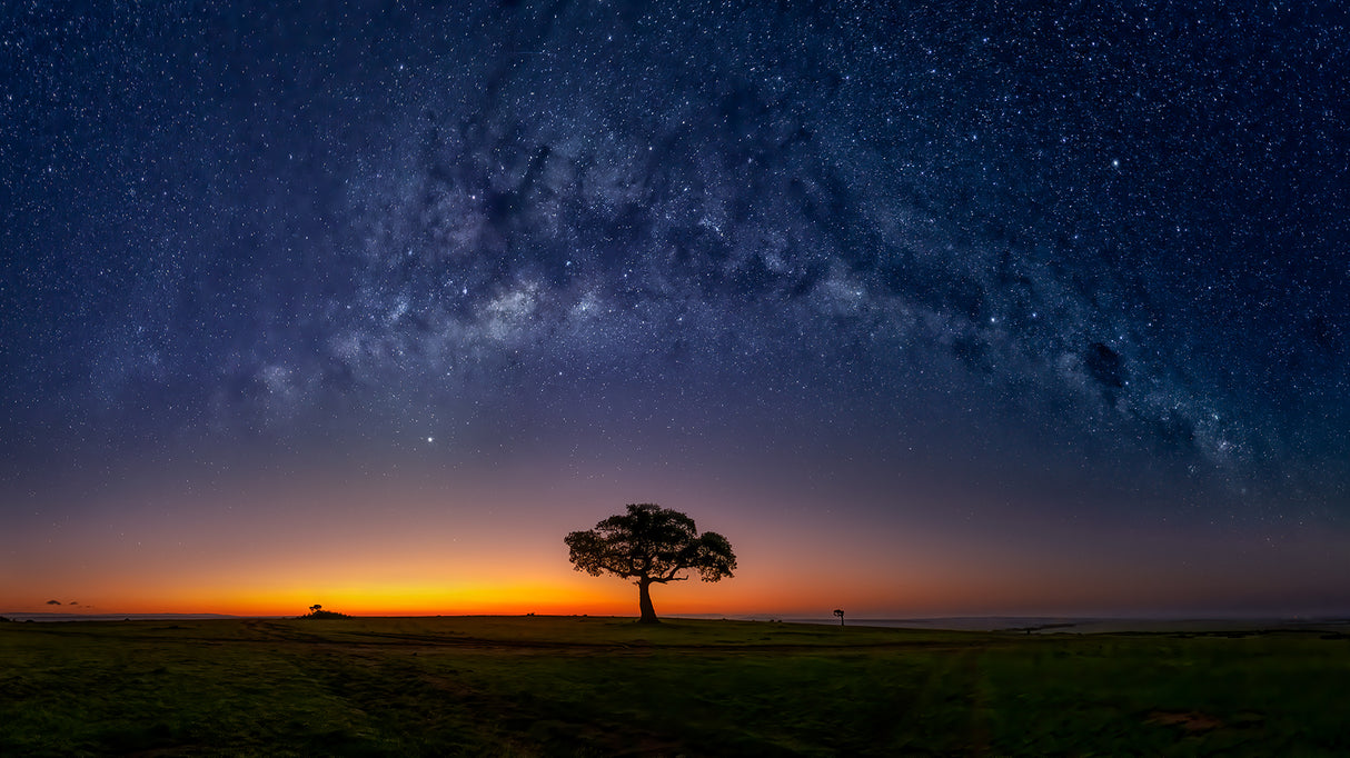 Milky Way in Masamara at dawn Poster och Canvastavla