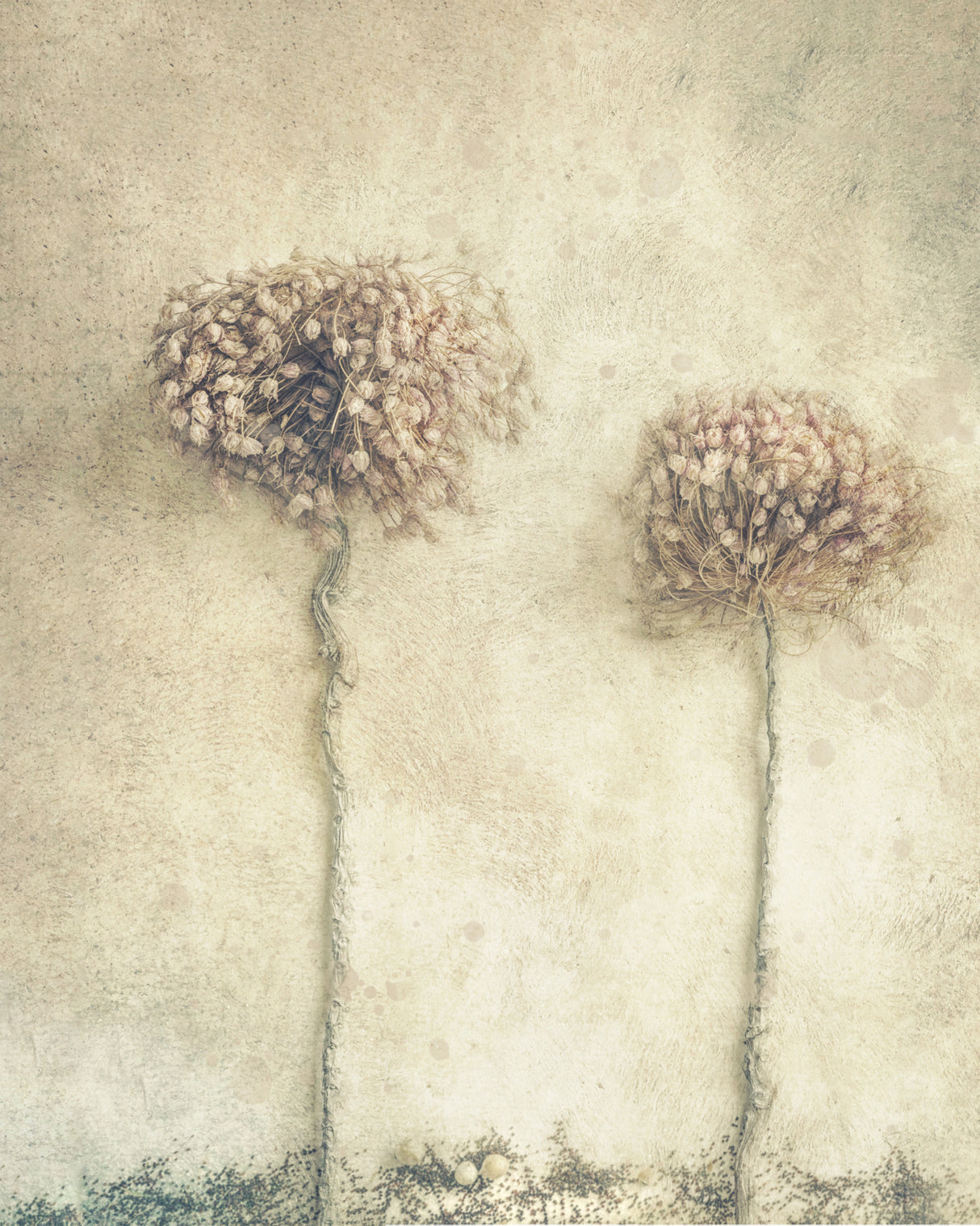 2... Poster och Canvastavla