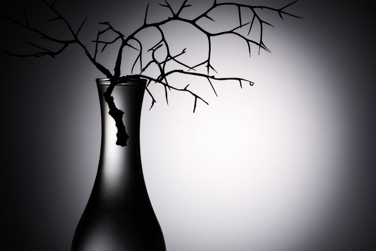 Hope… Poster och Canvastavla