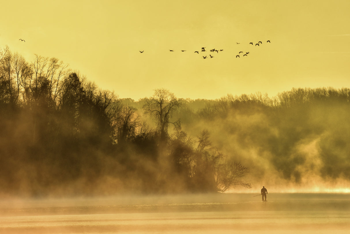 Paddling into fall Poster och Canvastavla
