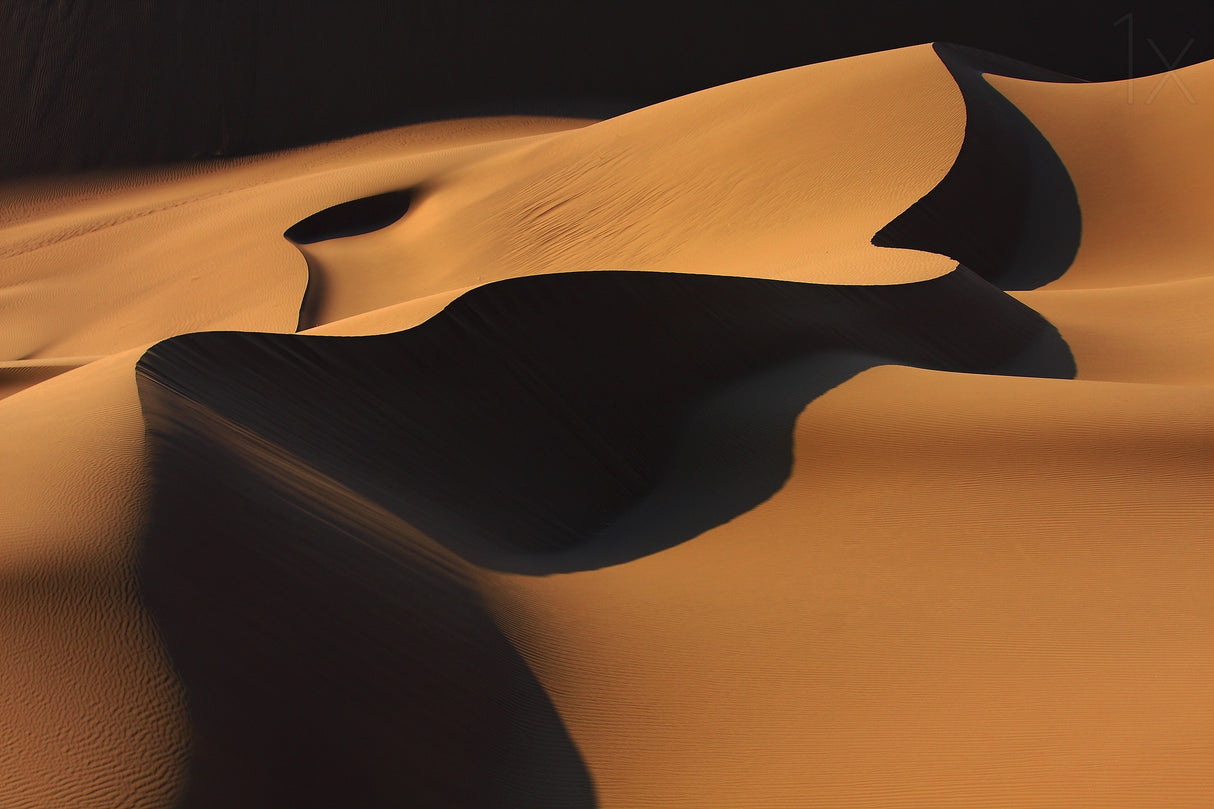 desert glory Poster och Canvastavla
