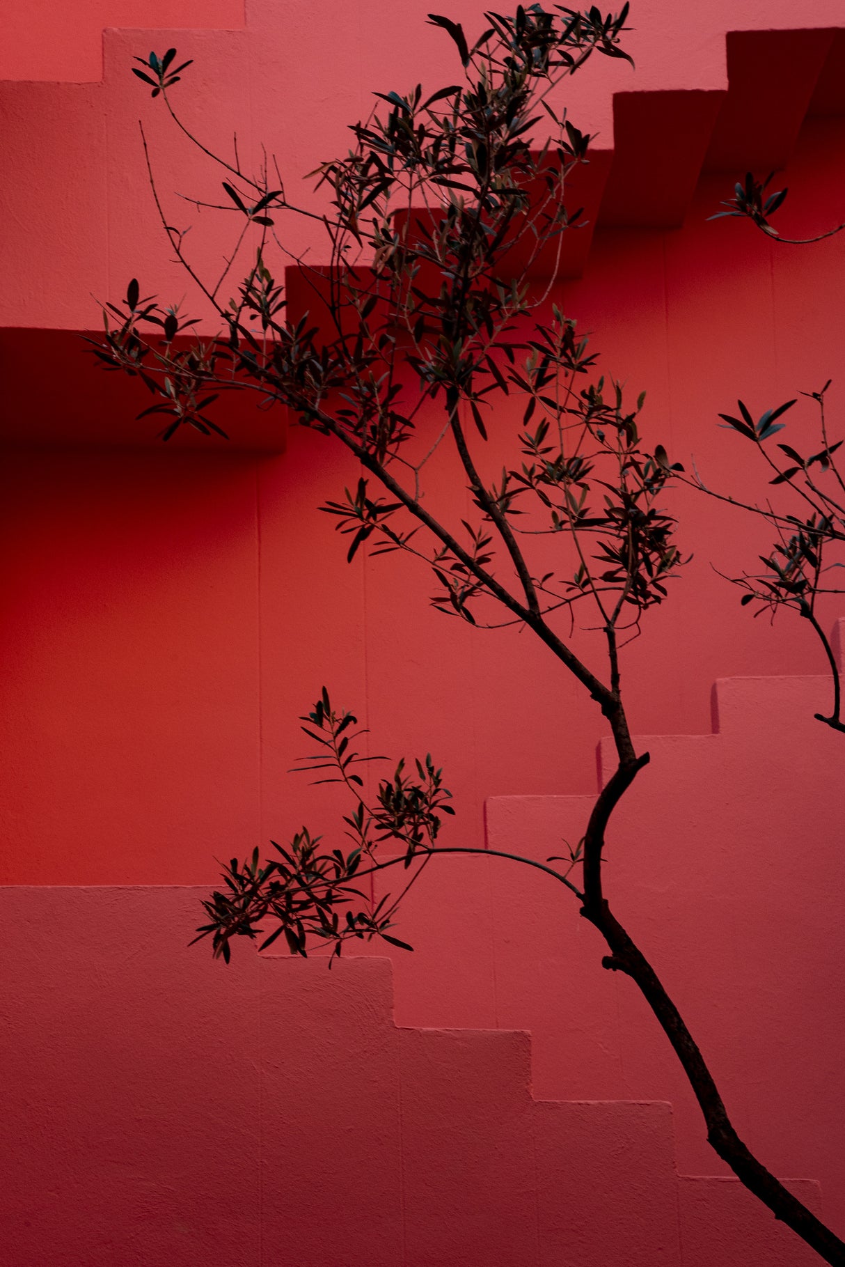 Muralla Roja #14 Poster och Canvastavla